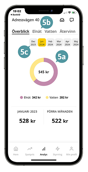 Skärmbild av appens analysvy