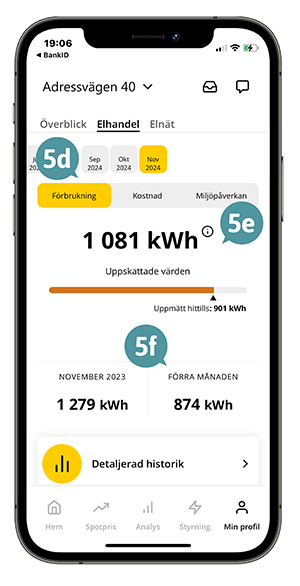 Skärmbild av appens analysvy