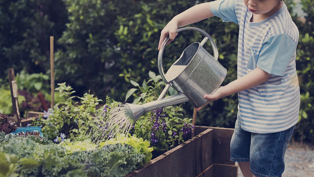 Pojke vattnar trädgård med kanna.